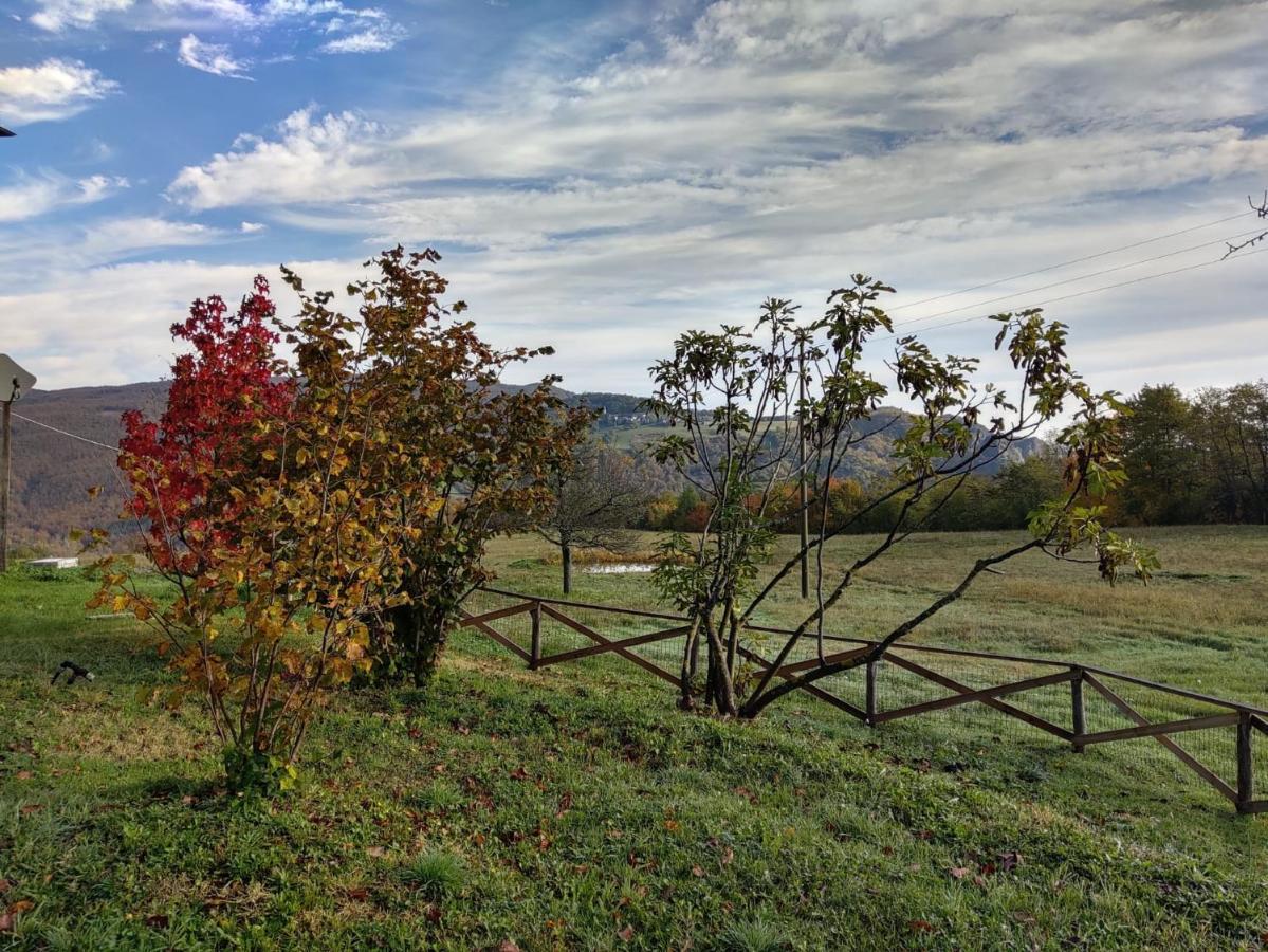 "Borgo Gerbina" Agriturismo & Azienda Agricola Sozzi ภายนอก รูปภาพ