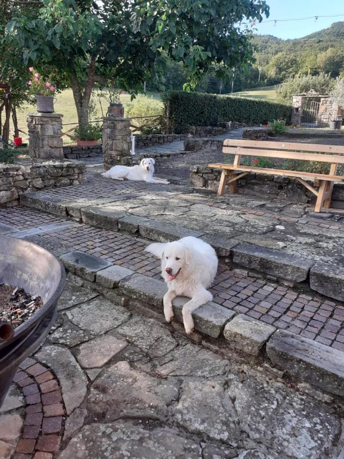 "Borgo Gerbina" Agriturismo & Azienda Agricola Sozzi ภายนอก รูปภาพ